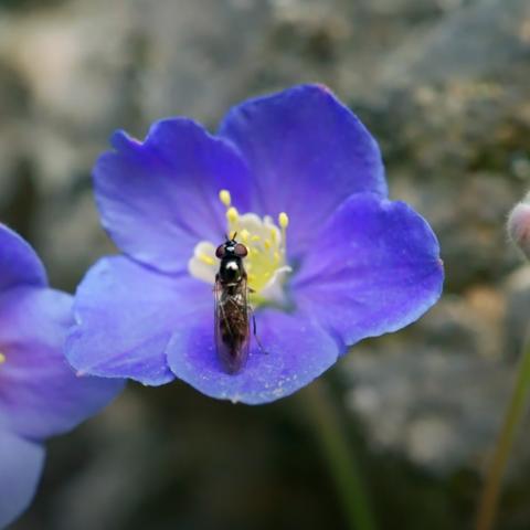 暗黑3七大职业深度测评,2026赛季谁才是大秘境之王? 暗黑3七大职业深度测评,2026赛季谁才是大秘境之王?