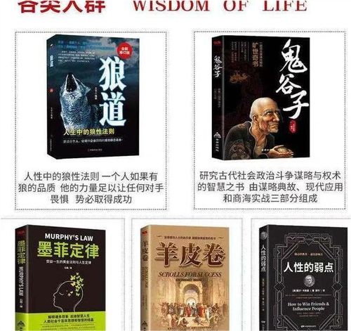 闲人免进贤人进，2026年最新高智商解谜通关秘籍与逻辑剖析