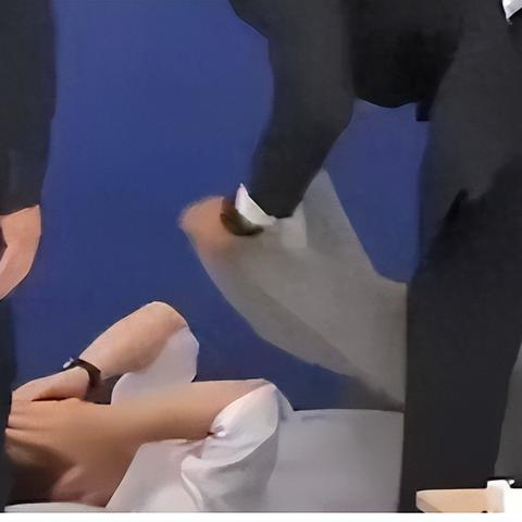 揭秘MLXG野区绝食流，2026年春季赛节奏与直播冲分攻略