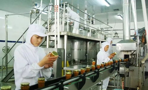 艾鲁类型怎么玩最强？2026最新流派深度解析与实战攻略