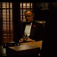 网飞收购华纳兄弟告吹?派拉蒙才是真正买家 网飞收购华纳兄弟告吹?派拉蒙才是真正买家