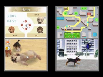 别再瞎遛狗了!揭秘任天狗高阶养成与全品种解锁攻略 别再瞎遛狗了!揭秘任天狗高阶养成与全品种解锁攻略