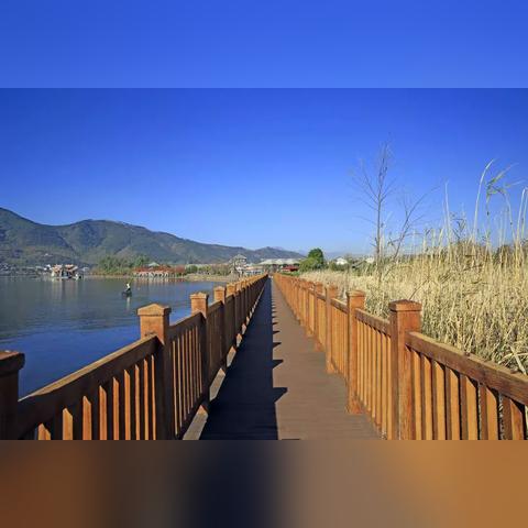 新天堂2什么职业最厉害？2026年T0级强势职业深度解析