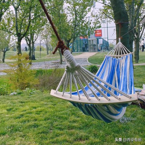 露天影院怎么搭？从汽车影院到露营神器的避坑指南