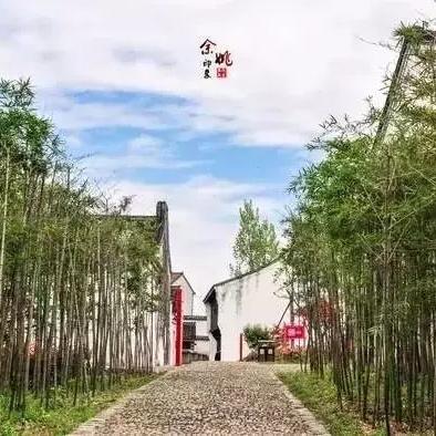 竹林众生怎么玩？独家T0职业流派与阵容搭配实战指南