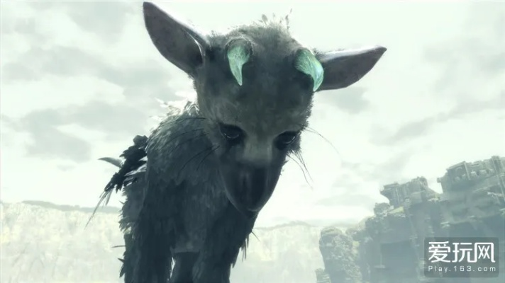 最后的守护者深度攻略,搞定Trico与全流程解谜实战指南 最后的守护者深度攻略,搞定Trico与全流程解谜实战指南