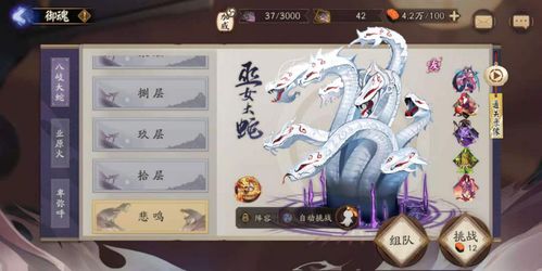 别再给大天狗乱带御魂了！2026年PVE/PVP最强搭配方案与面板细节