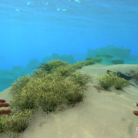 彩虹六号，围攻「静默猎杀行动」潜行战术解析