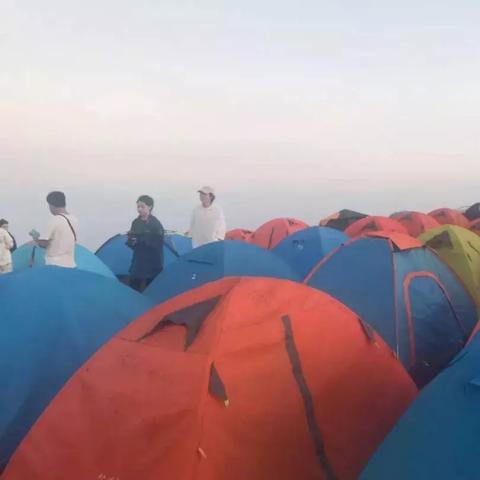 天堂8中文在线最新版官网入口在哪？2026年保姆级开荒避坑实录