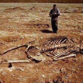 巨人城废墟怎么过？32关无伤卡点与泰坦击杀实战教学