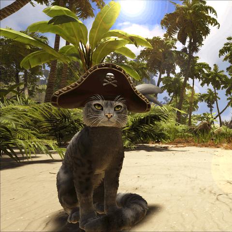 别再瞎玩领地人生了！深度解析硬核生存机制与高阶运营策略