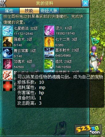 仙域宠物怎么选？揭秘五大类型与实战搭配技巧