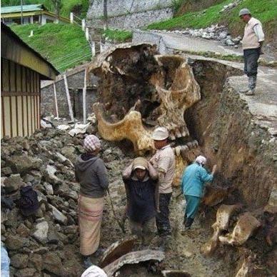 CF巨人城废墟怎么卡点?泰坦无伤通关全流程教学 CF巨人城废墟怎么卡点?泰坦无伤通关全流程教学