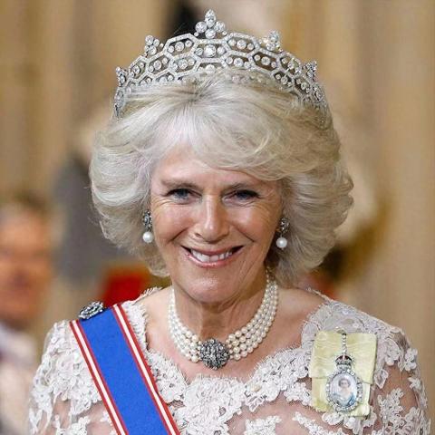 2026年游戏女王养成指南，强势角色如何掌控战局与实战解析