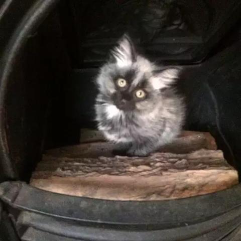 未命名游戏，如何开始你的冒险之旅？