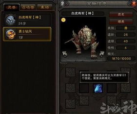 2026斗战神灵兽获取指南，从零捕捉到神兽进阶实战