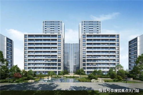 天龙八部真元怎么用最划算？揭秘真元与技能升级的底层逻辑