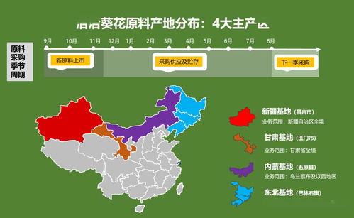 大航海家5怎么投资最赚？2026年据点开发独家秘籍