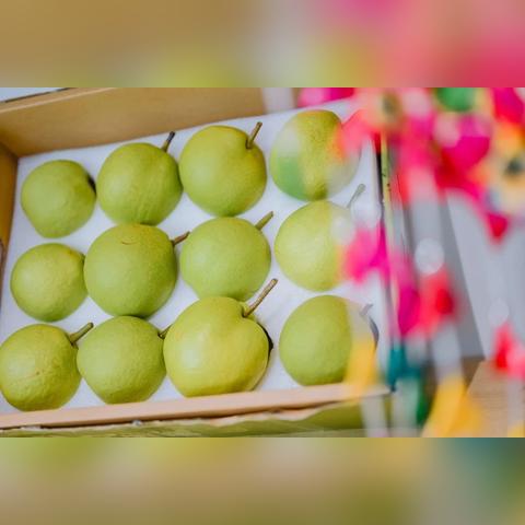 自由篮球春日福利，人气角色免费创，多款宝珠服饰焕新登场！