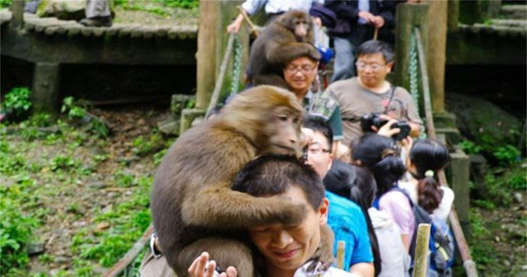 上Switch当天宣布跳票！厂家不给原因硬“耍猴”？