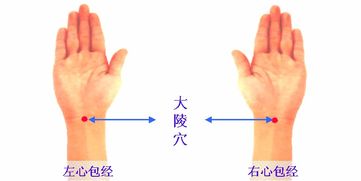 花间万花DPS打不高?揭秘2026高伤手法与奇穴细节 花间万花DPS打不高?揭秘2026高伤手法与奇穴细节