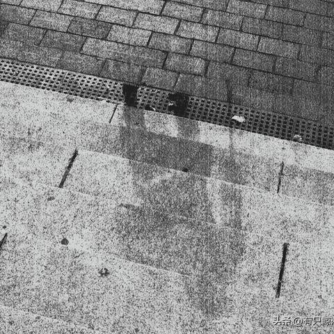 辐射3开锁秘籍深度解析，废土生存必备指令与技巧