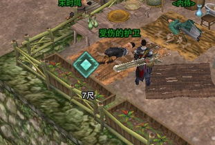 剑网3华清宫回忆录怎么进？全成就触发与稀有掉落保姆级攻略