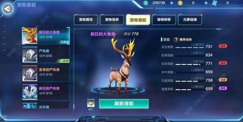 彩虹岛寒冬图腾怎么选？最强属性搭配与职业推荐攻略