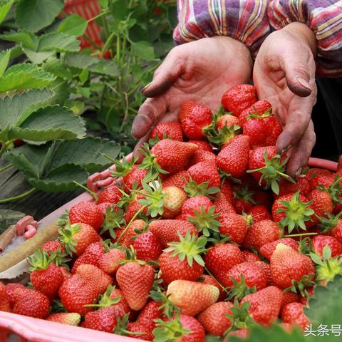 4月23日异环公测，超自然都市下的二次元GTA之争