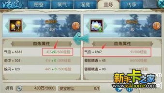 拒绝非酋！诛仙法宝血炼避坑指南与极品打造秘籍