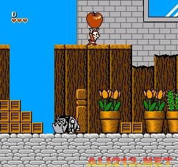 3255小游戏怎么玩?2026最新双人同屏与怀旧经典通关攻略 3255小游戏怎么玩?2026最新双人同屏与怀旧经典通关攻略