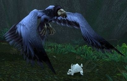 龙鹰类型宠物值得带吗？魔兽世界猎人稀有驯服位置与技能全解