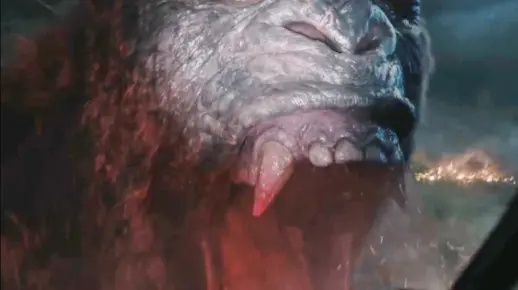 帝王计划怪兽类型怎么选？2026年最强阵容搭配与克制关系全揭秘