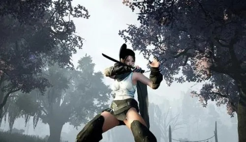 红色沙漠能扑倒殴打女性?玩家需求深度解析 红色沙漠能扑倒殴打女性?玩家需求深度解析