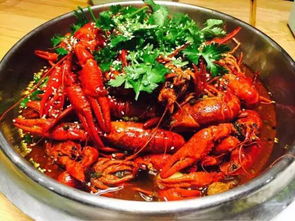 腾讯OpenClaw技能兼容版小龙虾上线! 腾讯OpenClaw技能兼容版小龙虾上线!