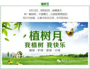 2026植树节活动指南，时间服玩家必看攻略