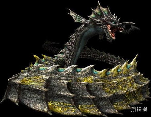 2026年黑龙类型怪物怎么打？最新掉落与实战技巧揭秘