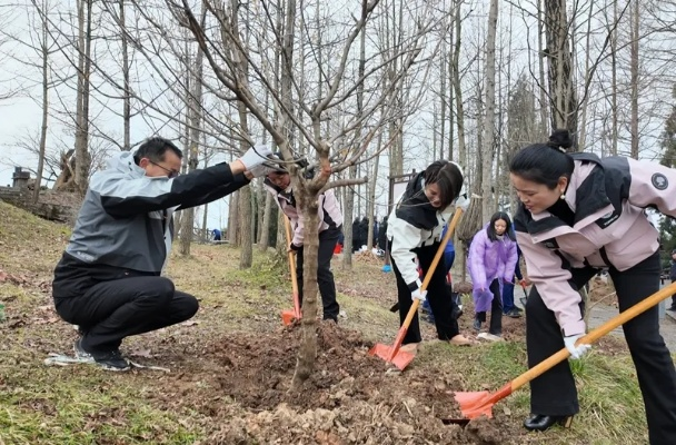 2026植树节活动开启，栽树领仙玉，共赏草长莺飞！