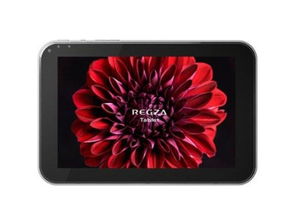 卡普空杯12，东芝REGZA连续四年日本电竞显示首选