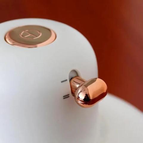 玫瑰双刀传奇如何一刀秒怪？双刀战士实战全解析