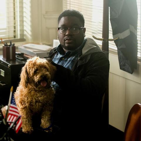 人人都是大导演怎么刷票房？高收益剧本搭配与快速变现攻略