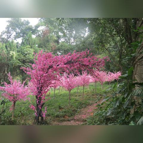 龙之谷怀旧服龙渊新赛季，春日奇遇季开启！