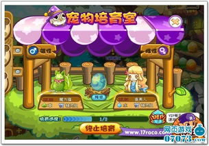 2026洛克王国新宠图鉴，最新宠物类型强度与培养全攻略