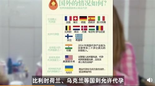 揭秘扫雷世界纪录背后的3BV算法与极速手速训练法