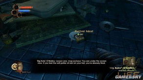 生化奇兵1全流程通关指南，最强亚当获取与结局选择详解