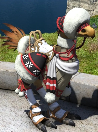 FF14布鸟里类型全解析，稀有布里获取与隐藏外观指南