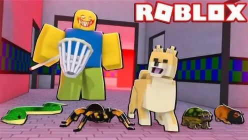 Roblox 宠物捕捉与驯服繁殖攻略:稀有度与成功率指南 Roblox 宠物捕捉与驯服繁殖攻略:稀有度与成功率指南