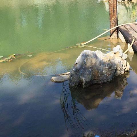 血径迷踪全结局触发机制揭秘,真结局达成路径一览 血径迷踪全结局触发机制揭秘,真结局达成路径一览