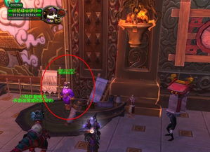 潘达利亚裁缝训练师在哪？5.0幻化与腿甲片速成秘籍