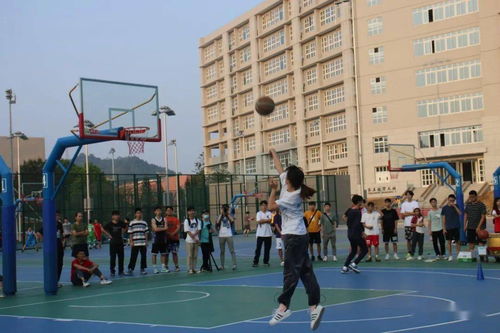 2026基辅特锦赛中国区预选赛前瞻，谁能锁定Major门票？